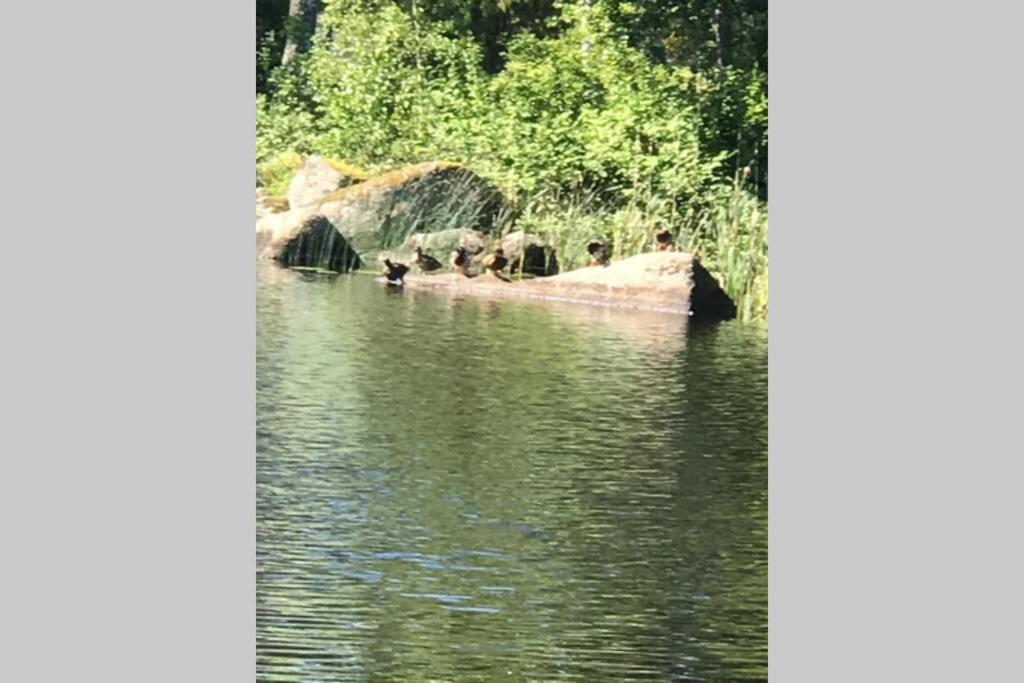 Vacker Hus I Naturen Fröseke エクステリア 写真